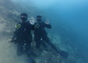 Tingkatkan Kemampuan, Satbrimob Polda Sultra Gelar Latihan Selam Dasar Polri di Pantai Waworaha, Konawe