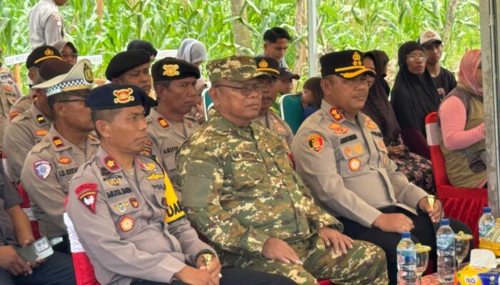 Danyon B Pelopor Hadiri Panen Raya Jagung Serentak Kuartal II Polres Buton di Kabupaten Buton Selatan
