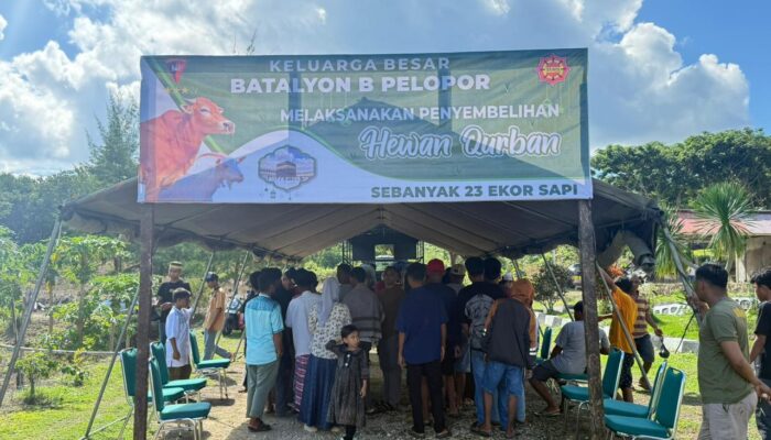 Batalyon B Pelopr Brimob Polda Sultra Qurban 23 Ekor Sapi