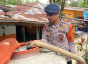 Pasca Banjir Luapan Kali Wanggu, Brimob Polda Sultra Salurkan Air Bersih dan Bantu Pembersihan Wilayah Terdampak