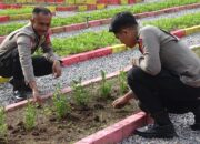 Dukung Ketahanan Pangan Nasional, Batalyon A Pelopor Satbrimob Polda Sultra Manfaatkan Lahan Kosong untuk Berkebun dan Budidaya Ikan