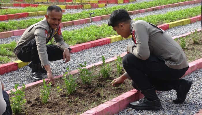 Dukung Ketahanan Pangan Nasional, Batalyon A Pelopor Satbrimob Polda Sultra Manfaatkan Lahan Kosong untuk Berkebun dan Budidaya Ikan