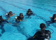 Tingkatkan Kemampuan, Personel Batalyon A Pelopor Gelar Latihan Selam Dasar di Kolam Renang Brimob Polda Sultra
