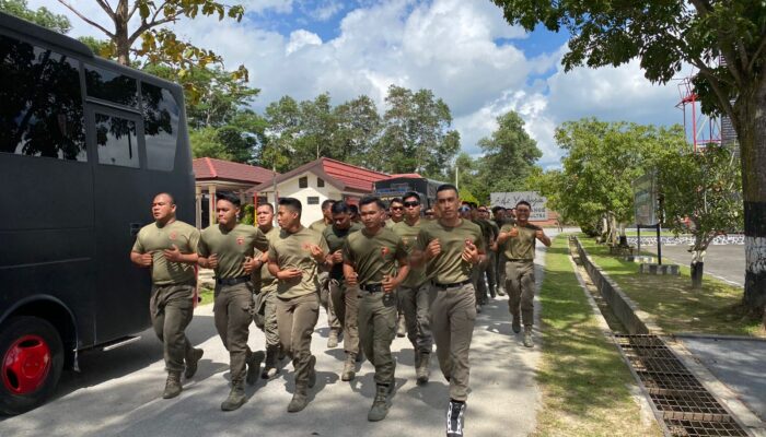 Brimob Polda Sultra Gelar Pembinaan Fisik Rutin: Bentuk Personel Tangguh, Sehat, dan Siap Hadapi Tantangan Tugas