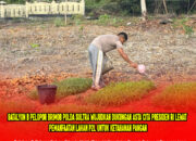 Batalyon B Pelopor Brimob Polda Sultra Wujudkan Dukungan Asta Cita Presiden RI Lewat Pemanfaatan Lahan P2L untuk Ketahanan Pangan