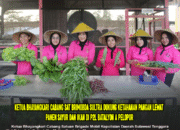 Ketua Bhayangkari Cabang Sat Brimobda Sultra Dukung Ketahanan Pangan Lewat Panen Sayur dan Ikan di P2L Batalyon A Pelopor