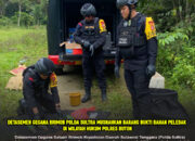 Detasemen Gegana Brimob Polda Sultra Musnahkan Barang Bukti Bahan Peledak di Wilayah Hukum Polres Buton