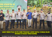 Dansat Brimob Polda Sultra Hadiri Penanaman Jagung Kuartal III sebagai Wujud Dukungan Ketahanan Pangan Nasional