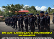 Brimob Batalyon B Pelopor Sultra Gelar Apel Pagi: Komitmen Tingkatkan Disiplin dan Kesiapsiagaan Personel