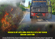 Kerahkan Dua Unit Water Cannon, Brimob Polda Sultra Sigap Padamkan Kebakaran Lahan di Konda