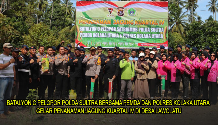 Batalyon C Pelopor Polda Sultra Bersama Pemda dan Polres Kolaka Utara Gelar Penanaman Jagung Kuartal IV di Desa Lawolatu