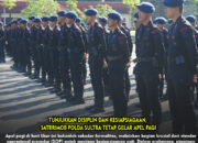 Tunjukkan Disiplin dan Kesiapsiagaan, Satbrimob Polda Sultra Tetap Gelar Apel Pagi