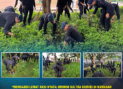 “Mengabdi Lewat Aksi Nyata: Brimob Sultra Kurvei di Kawasan MTQ Kendari”