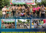 Sinergi Polri dan Pemerintah Daerah, Personel Batalyon C Pelopor Gelar Panen Jagung Kuartal I di Kolaka Utara