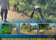 Sinergi Antisipasi Bencana: Batalyon C Pelopor Brimob Polda Sultra dan Warga Gotong Royong Bersihkan Drainase di Kolaka