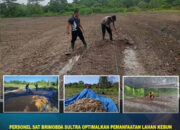 Personel Sat Brimob Polda Sultra Optimalkan Pemanfaatan Lahan Kebun Pangan sebagai Wujud Dukungan terhadap Program Ketahanan Pangan Nasional