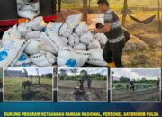 Dukung Program Ketahanan Pangan Nasional, Personel Satbrimob Polda Sultra Optimalkan Pengolahan Lahan Pangan Produktif