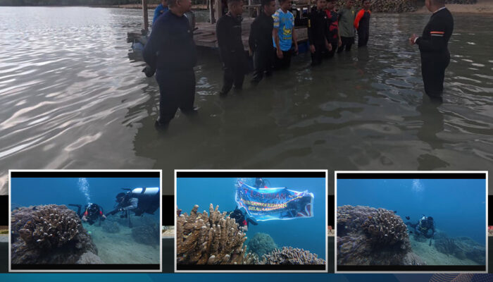 Latihan Selam Lanjutan Sat Brimob Polda Sultra Tingkatkan Profesionalisme dan Kesiapsiagaan Personel di Pantai Waworaha
