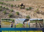 Wujudkan Ketahanan Pangan, Personel Satbrimob Polda Sultra Laksanakan Perawatan dan Pembersihan Lahan Produktif