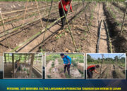 Personel Sat Brimob Polda Sultra Laksanakan Perawatan Tanaman dan Hewan di Lahan Ketahanan Pangan dan P2L sebagai Wujud Dukungan Program Ketahanan Pangan Nasional