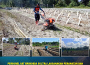 Personel Sat Brimobda Sultra Laksanakan Perawatan dan Pemeliharaan Kebun Ketahanan Pangan serta P2L