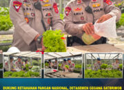 Dukung Ketahanan Pangan Nasional, Detasemen Gegana Satbrimob Polda Sultra Panen Selada Hidroponik P2L