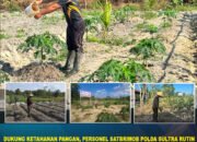 Dukung Ketahanan Pangan, Personel Satbrimob Polda Sultra Rutin Laksanakan Perawatan Tanaman