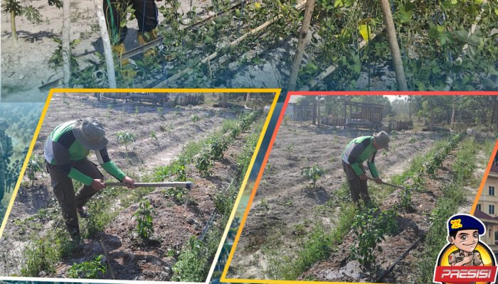 Personel Satbrimob Polda Sultra Laksanakan Perawatan Tanaman di Lahan Mako, Dukung Ketahanan Pangan dan Lingkungan Berkelanjutan